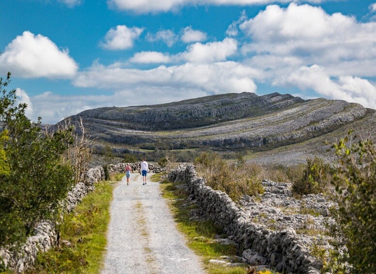 Picture 4 for Activity Dublin to Cliffs of Moher & Galway City Private Tour by Car