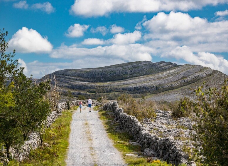 Picture 4 for Activity Dublin to Cliffs of Moher & Galway City Private Tour by Car