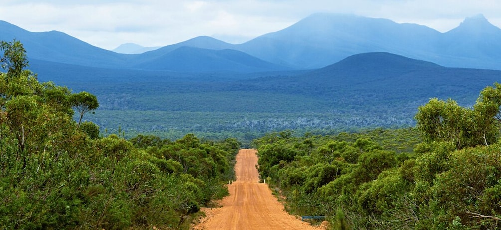 Picture 9 for Activity Stirling Range National Park Driving Tour with an APP