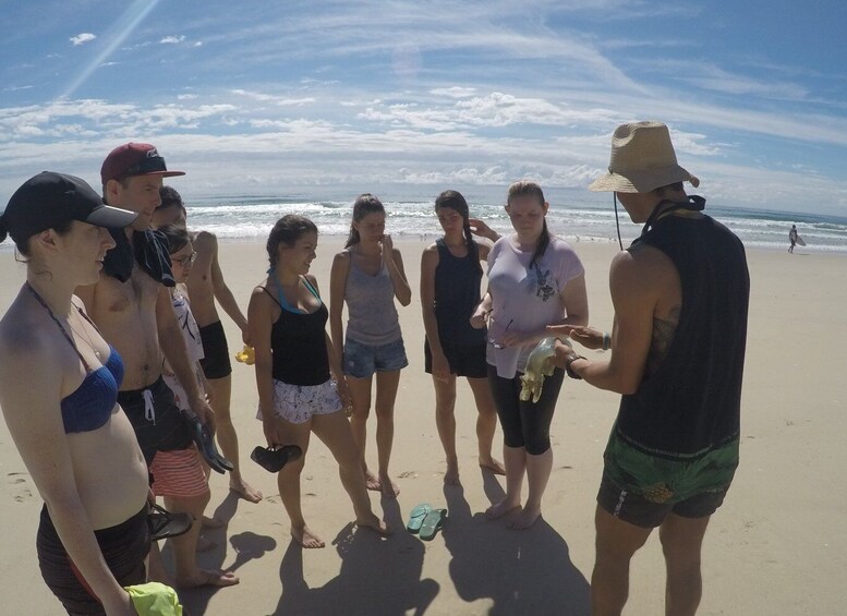 Picture 8 for Activity From Gold Coast: Kayaking & Snorkelling Tour with Breakfast