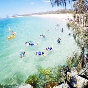 Depuis la Gold Coast : Kayak et plongée en apnée excursion avec petit déjeu...