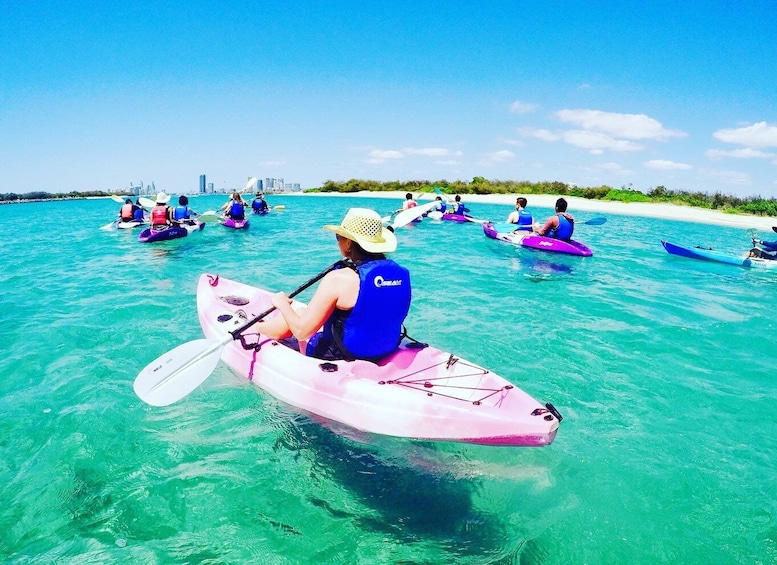 Picture 3 for Activity From Gold Coast: Kayaking & Snorkelling Tour with Breakfast