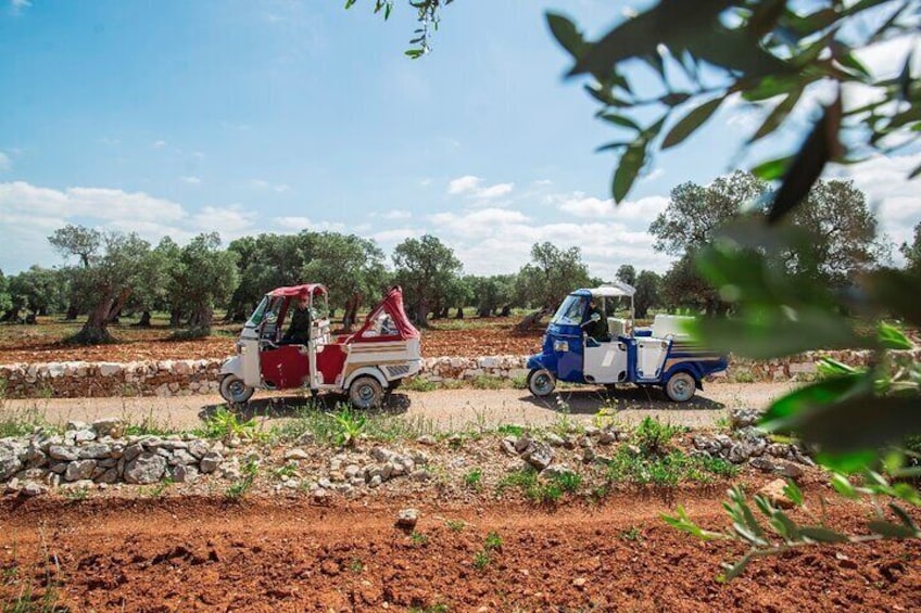 Private Tuk Tuk Tour of the Millenary Olive Groves in Ostuni