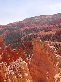 Small Group Tour Zion & Bryce Canyon National from Las Vegas