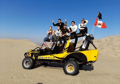 From Lima: Ballestas Islands, Huacachina with buggy Economic