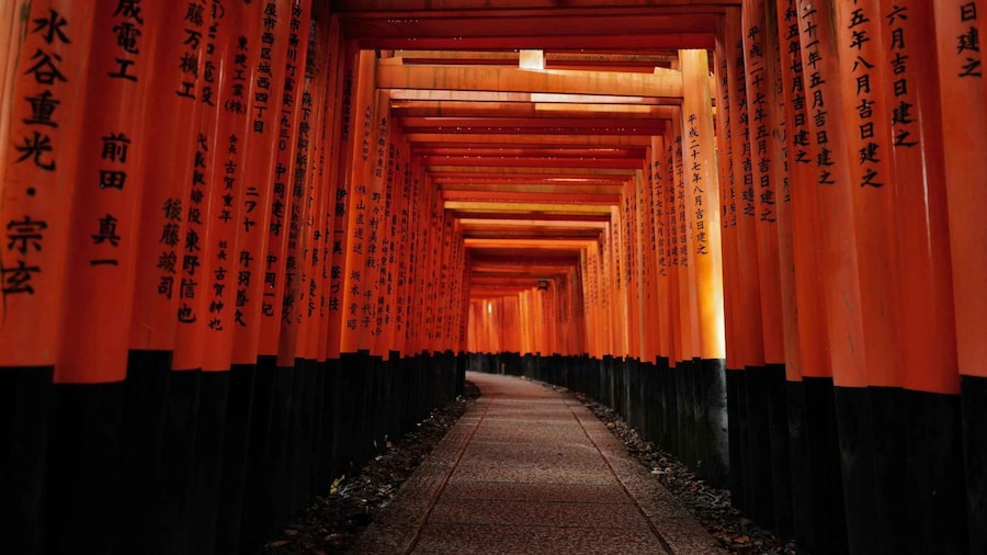 Kyoto: Early Morning Tour with English-Speaking Guide