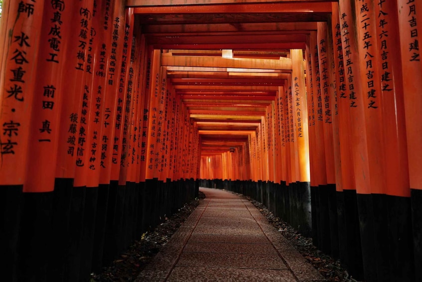 Kyoto: Early Morning Tour with English-Speaking Guide