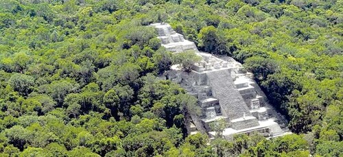 Från Campeche: Guidad dagsutflykt med natur och historia i Calakmul