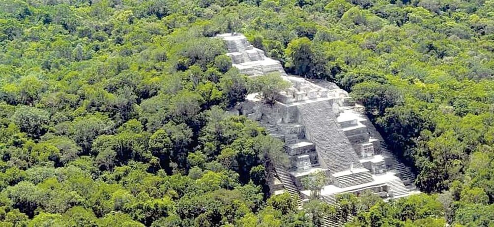 From Campeche: Calakmul Guided Nature and History Day Trip