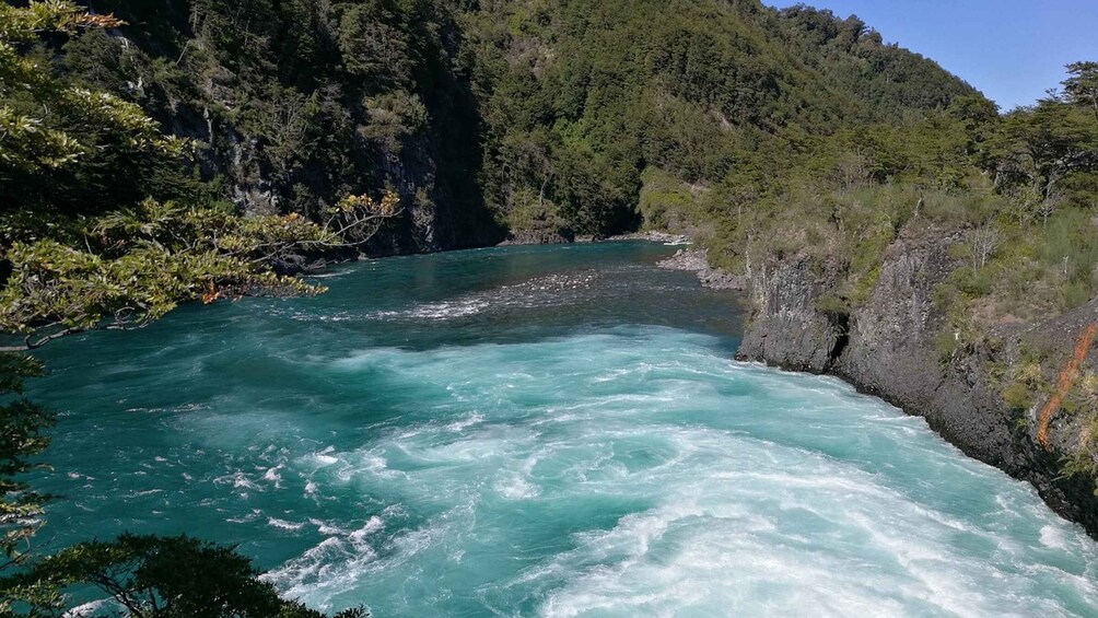 Picture 3 for Activity Puerto Montt: Osorno Volcano and Petrohué Falls Guided Tour