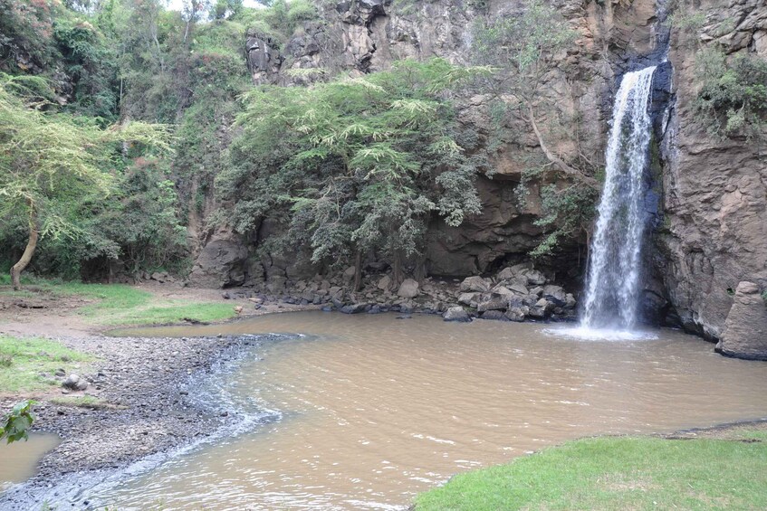 Picture 3 for Activity From Nairobi: Lake Nakuru National Park Day Trip