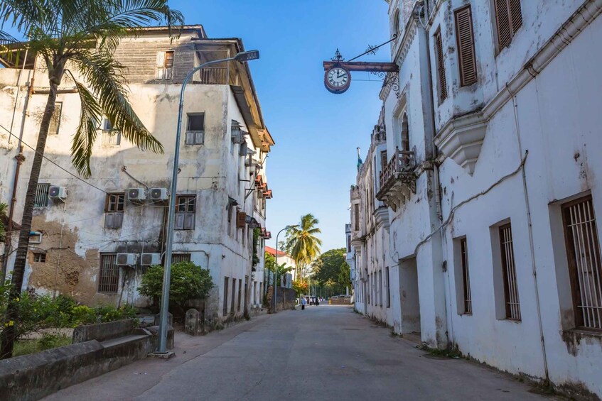 Picture 4 for Activity Zanzibar: City with Prison Island Group Tours