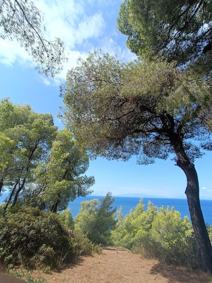 Picture 10 for Activity Thessaloniki: Halkidiki Beach-Hopping with Swimming