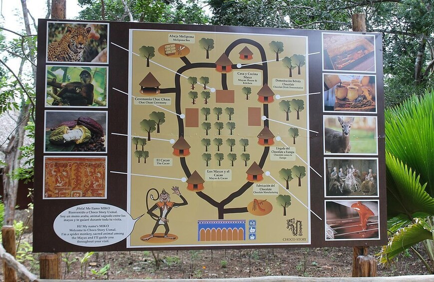 Picture 2 for Activity Uxmal and Choco Story Private Tour