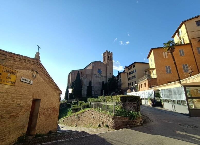 Picture 6 for Activity Siena Underground Wine tasting in a Medieval Cave