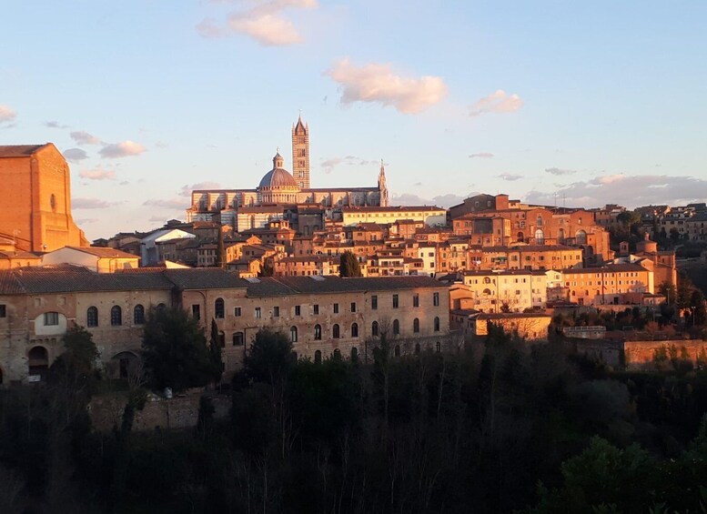 Picture 8 for Activity Siena Underground Wine tasting in a Medieval Cave