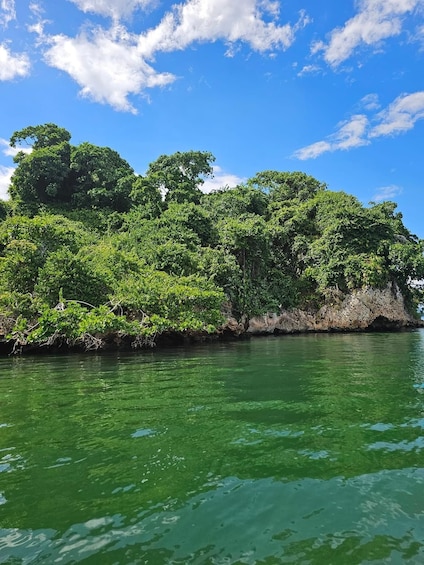 Picture 5 for Activity 3-in-1: Los Haitises w/ Montaña Redonda & Yanigua Waterfalls