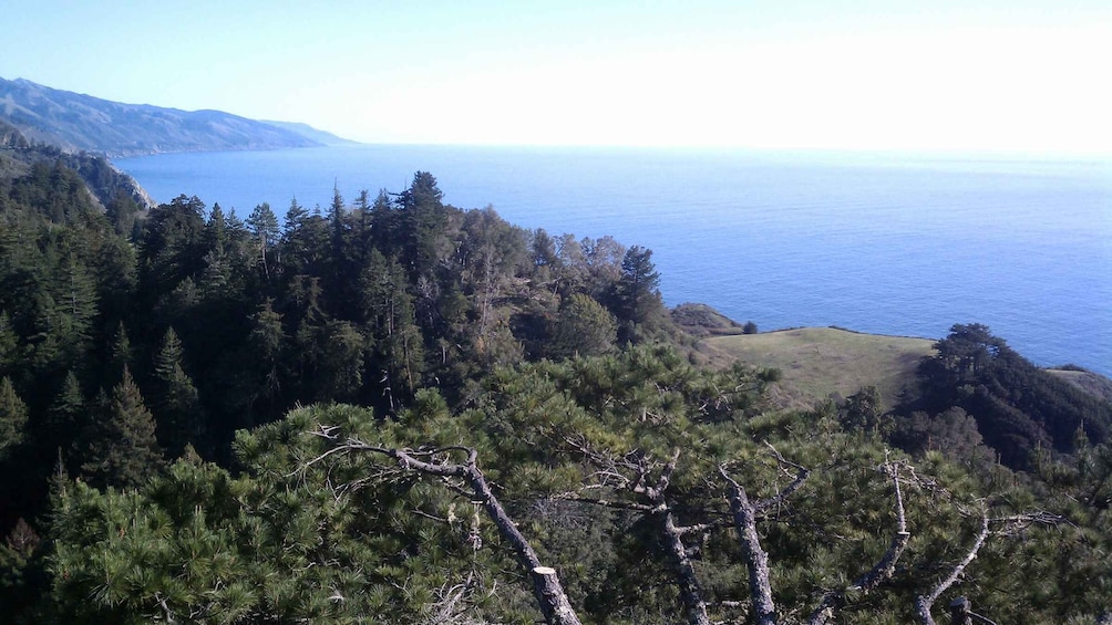 Picture 5 for Activity Big Sur: Sightseeing Tour with 4 to 5 Stops