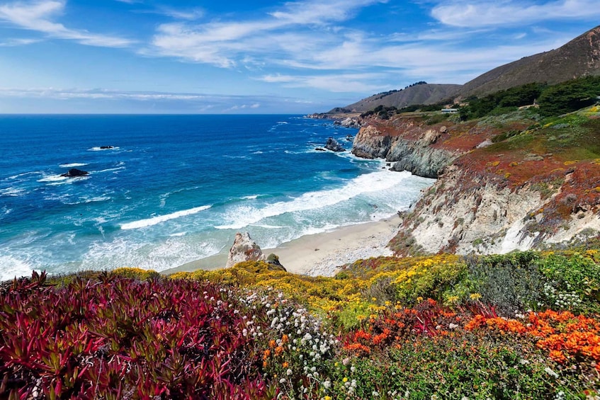 Picture 3 for Activity Big Sur: Sightseeing Tour with 4 to 5 Stops