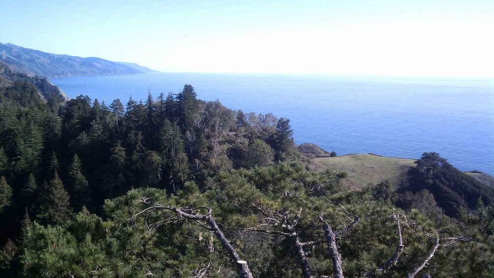 Picture 5 for Activity Big Sur: Sightseeing Tour with 4 to 5 Stops