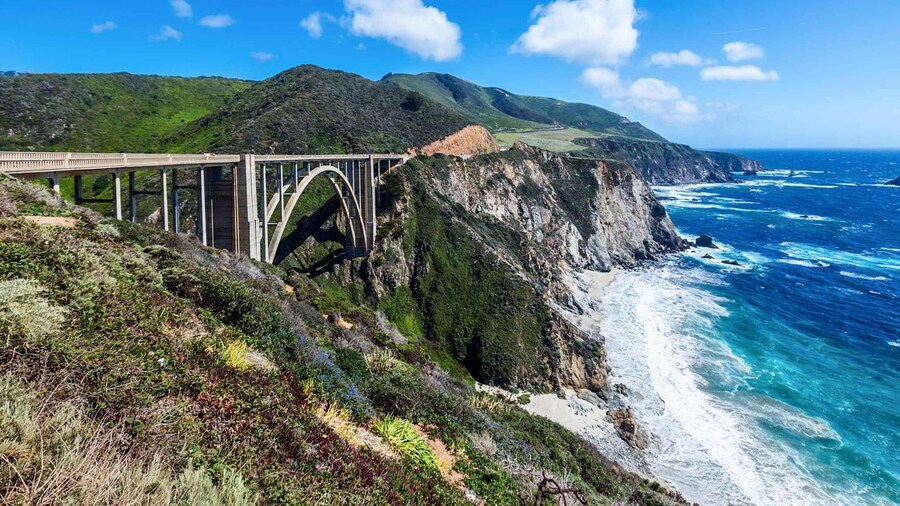 Big Sur: Sightseeing Tour with 4 to 5 Stops