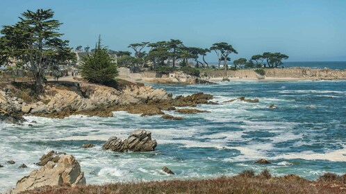 Monterey Peninsula Sightseeing Tour inclusief 17 Mile Drive