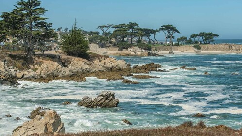Monterey Peninsula Sightseeing excursion incluant 17 Mile Drive