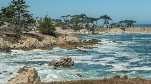 Monterey Peninsula Sightseeing Tour along the 17 Mile Drive