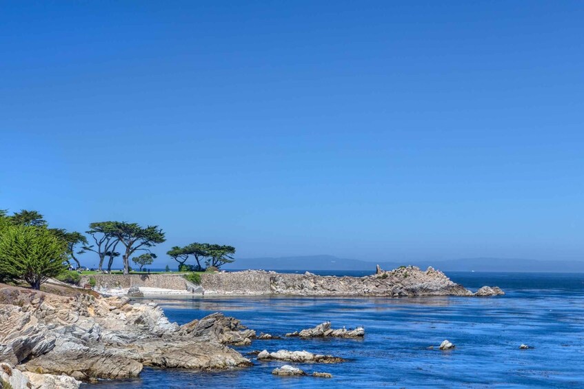 Picture 1 for Activity Monterey Peninsula Sightseeing Tour including 17 Mile Drive