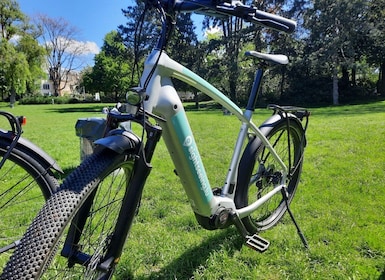 Luxembourg : City E-Bike Rental