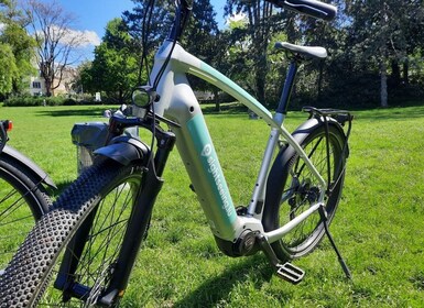 Luxembourg: City E-Bike Rental