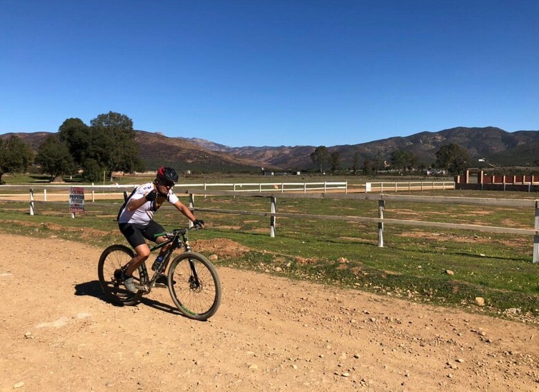 Picture 9 for Activity Bike and wine amazing Adventure in Valle de Guadalupe"