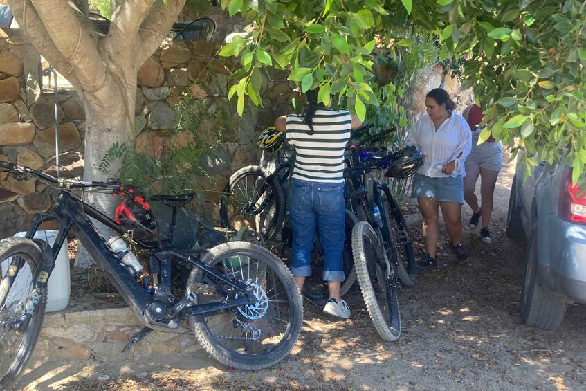 Picture 2 for Activity Bike and wine amazing Adventure in Valle de Guadalupe"