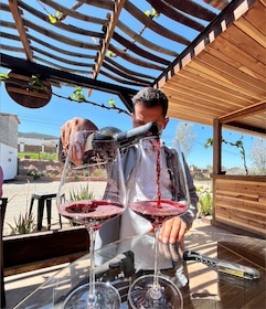Bike and wine amazing Adventure in Valle de Guadalupe"