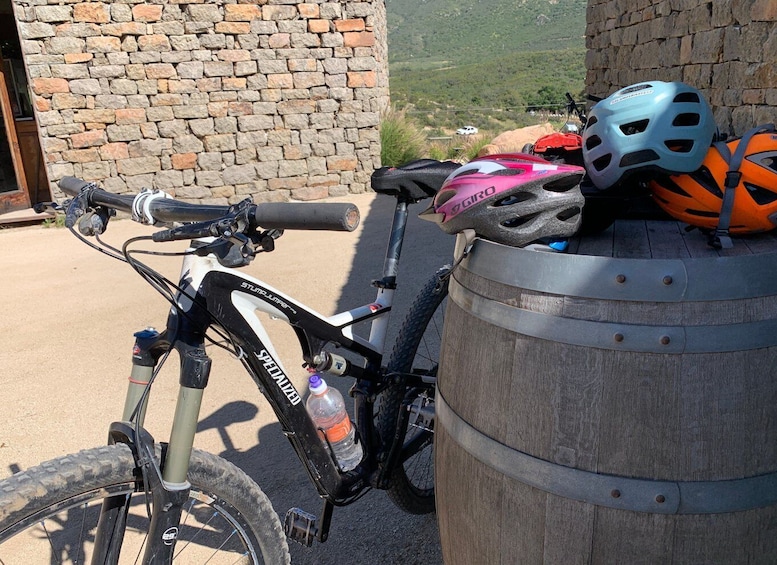 Picture 10 for Activity Bike and wine amazing Adventure in Valle de Guadalupe"