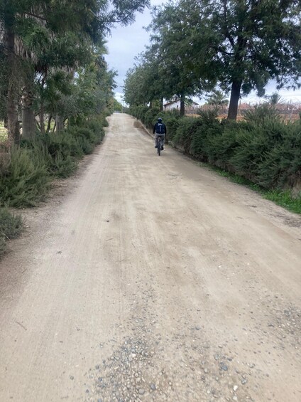 Picture 25 for Activity Bike and wine amazing Adventure in Valle de Guadalupe"