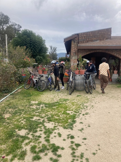 Picture 29 for Activity Bike and wine amazing Adventure in Valle de Guadalupe"