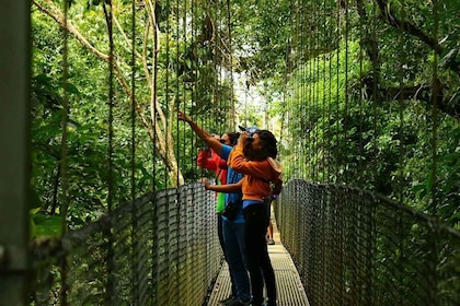 La Fortuna: Tour hangbruggen, vulkaan Arenal en watervallen