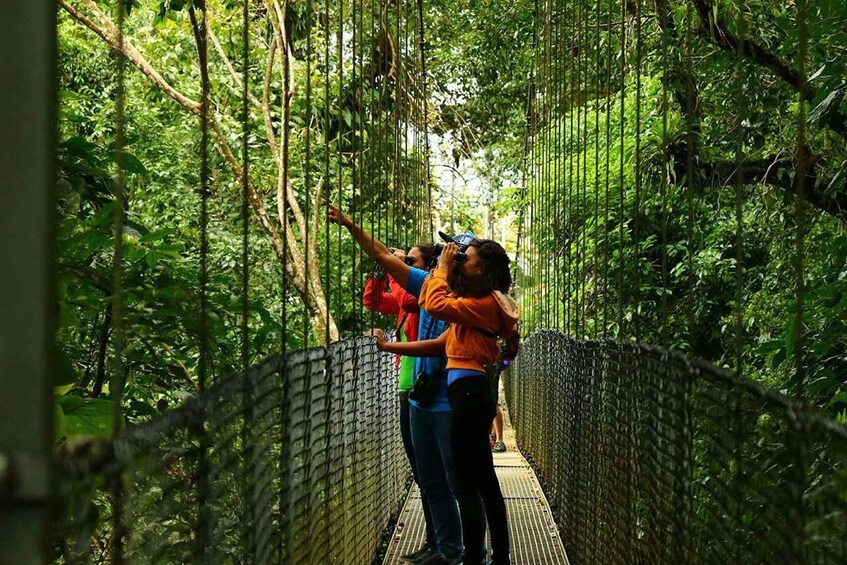 La Fortuna: Hanging Bridges, Arenal Volcano, and Falls Tour