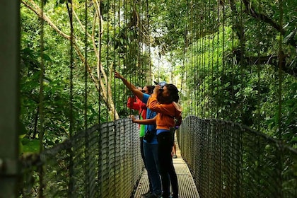 La Fortuna: recorrido por los puentes colgantes, el volcán Arenal y las cat...