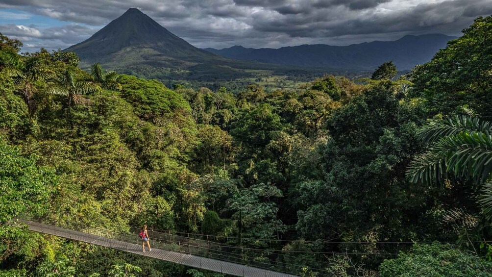 Picture 7 for Activity La Fortuna: Hanging Bridges, Arenal Volcano, and Falls Tour