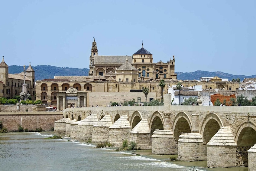 Picture 1 for Activity Cordoba - Private Tour including visit to the Fortress