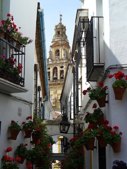 Picture 2 for Activity Cordoba - Private Tour including visit to the Fortress