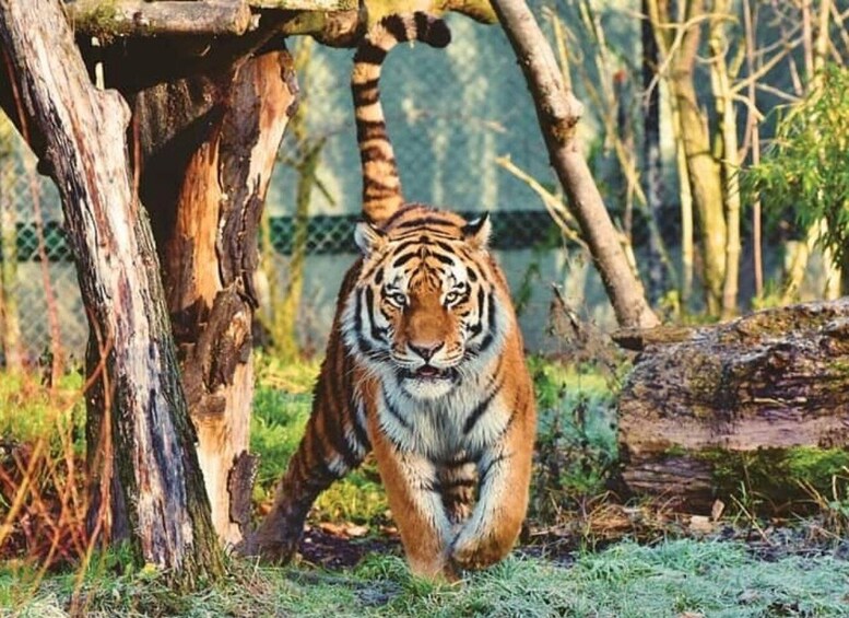 Picture 1 for Activity Skip The Line : Nahargarh Biological Park Tour, Jaipur