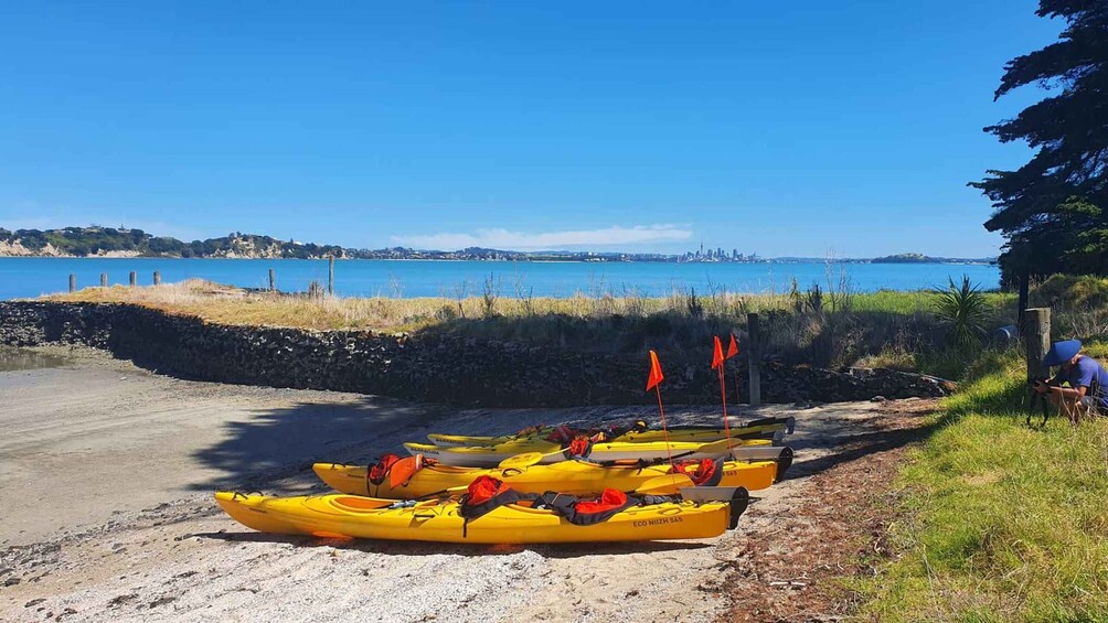 Picture 3 for Activity The Riverhead Tavern Kayak Tour