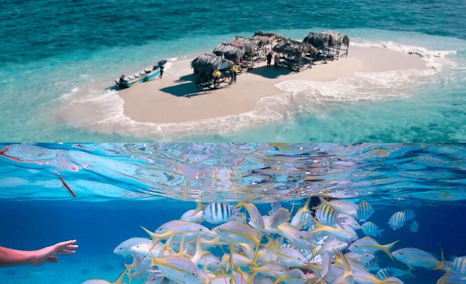 Cayo Arena: Paradise Island & Magroves Tour Private