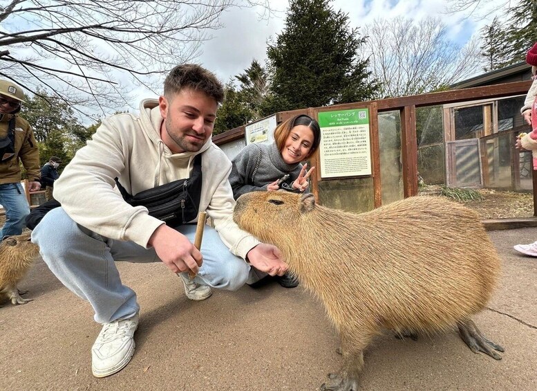 Picture 8 for Activity Mt Fuji : Highlight tour and unforgettable experience