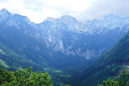 Excursion d’une journée dans la vallée de Logar depuis Ljubljana