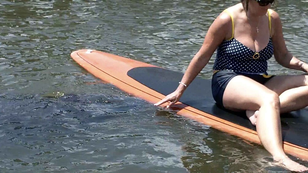 Picture 11 for Activity Merritt Island: Manatee Watching Paddle or Kayak Tour