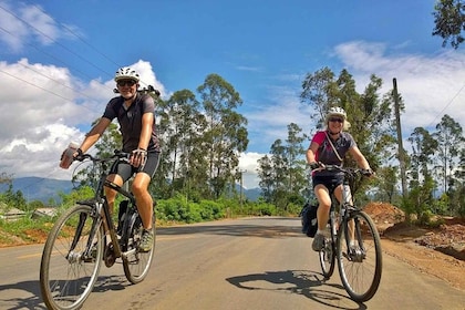 Fahrradabenteuer: Von Ella nach Demodara mit NineArch Bridge Tour